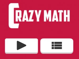 Crazy Math Online Math Puzzle Game