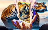 Animal Tiger Memory Match Puzzle Game Online Puzzle Game